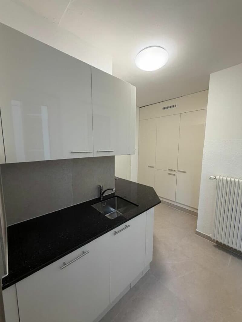 Magnifique Appartement moderne de 4,5 pièces à louer dès maintenant ! (3)