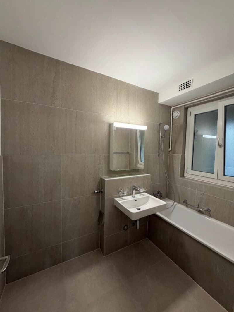 Magnifique Appartement moderne de 4,5 pièces à louer dès maintenant ! (13)