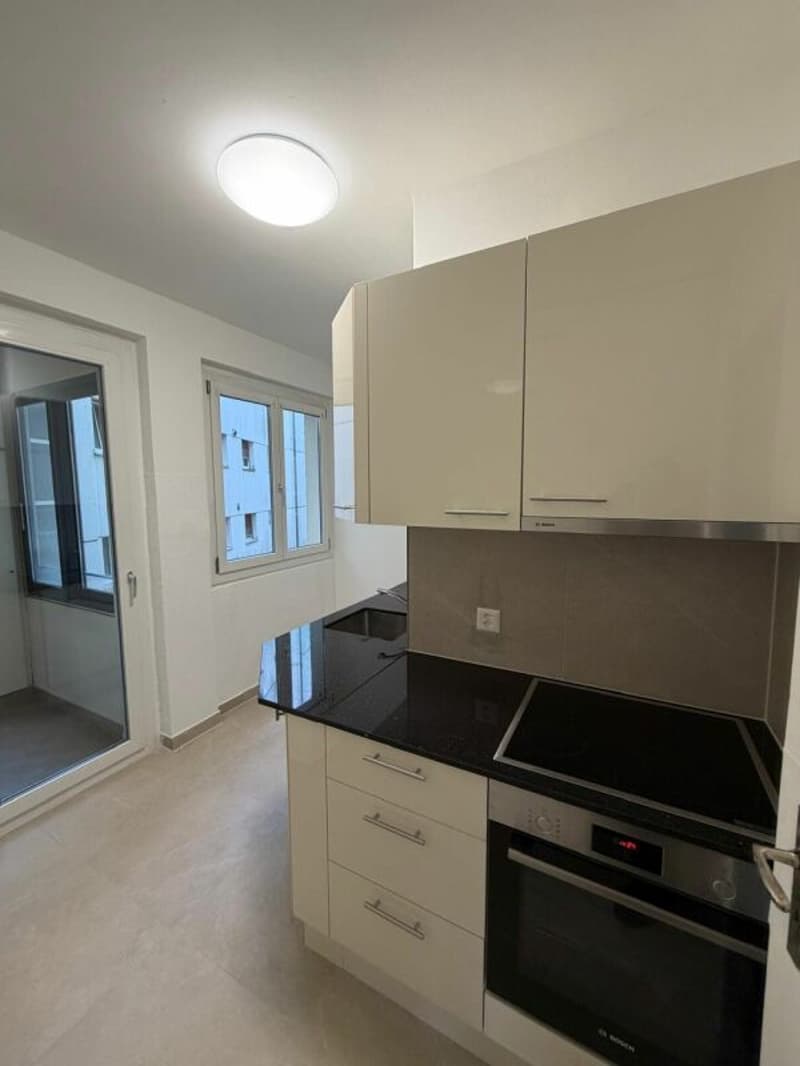 Magnifique Appartement moderne de 4,5 pièces à louer dès maintenant ! (2)