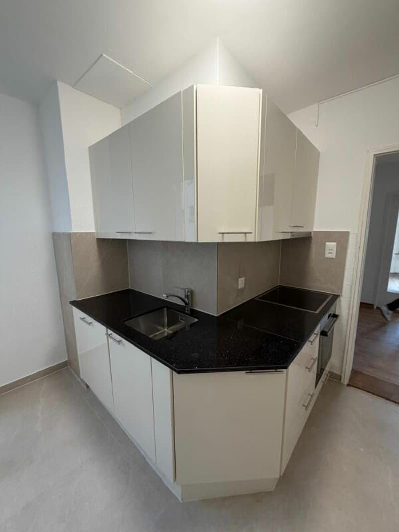 Magnifique Appartement moderne de 4,5 pièces à louer dès maintenant ! (1)