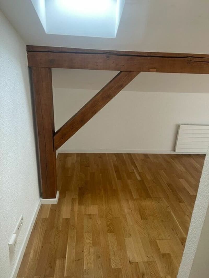 Appartamento mansardato moderno e charmante! (4)