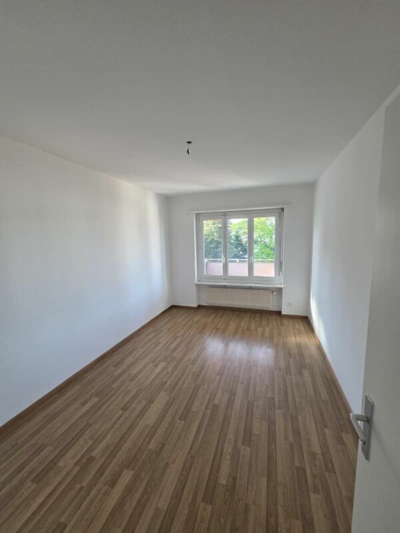 Appartamento di 3,5 locali appena ristrutturato (10)