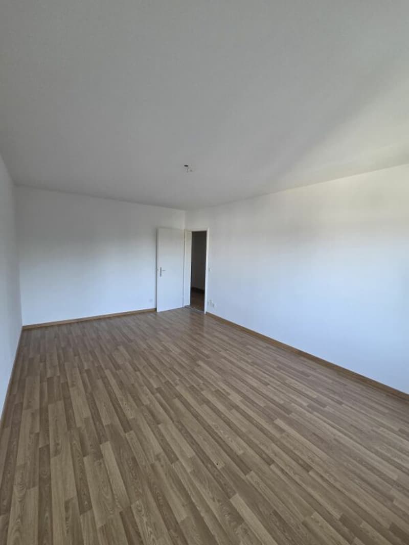 Appartamento di 3,5 locali appena ristrutturato (9)