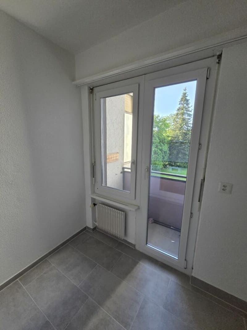 Appartamento di 3,5 locali appena ristrutturato (7)