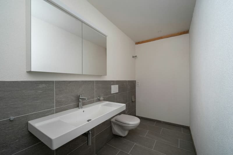 Exklusive 4.5-Zimmer-Attikawohnung mit ca. 163 m² Sonnenterrasse - Erstbezug im Neubau (14)