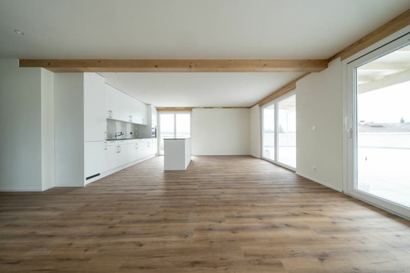 Exklusive 4.5-Zimmer-Attikawohnung mit ca. 163 m² Sonnenterrasse - Erstbezug im Neubau (8)