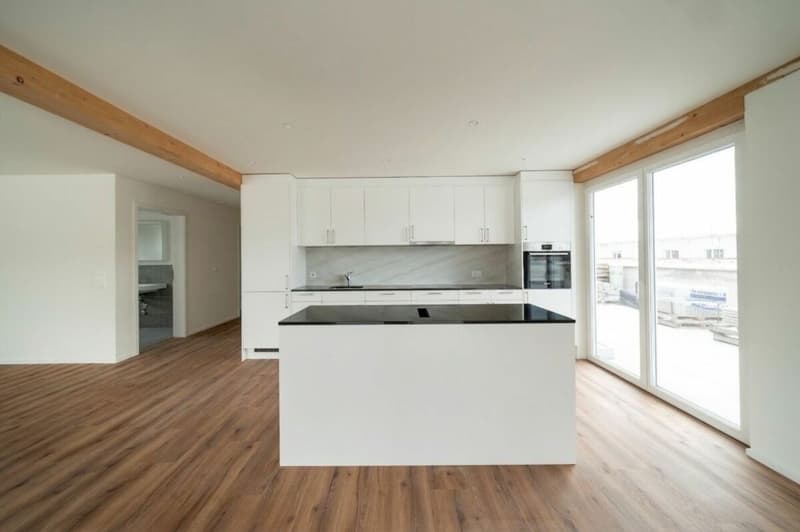 Exklusive 4.5-Zimmer-Attikawohnung mit ca. 163 m² Sonnenterrasse - Erstbezug im Neubau (6)