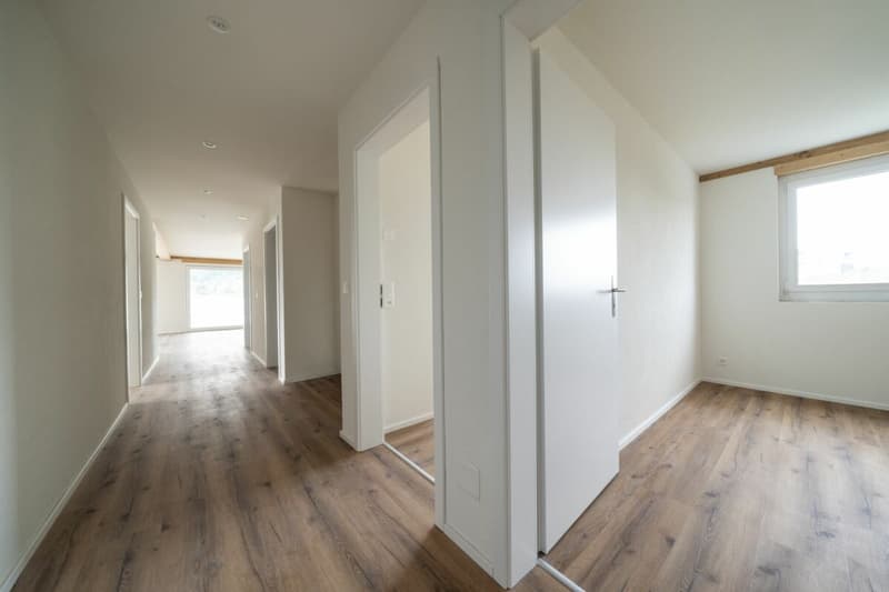 Exklusive 4.5-Zimmer-Attikawohnung mit ca. 163 m² Sonnenterrasse - Erstbezug im Neubau (10)