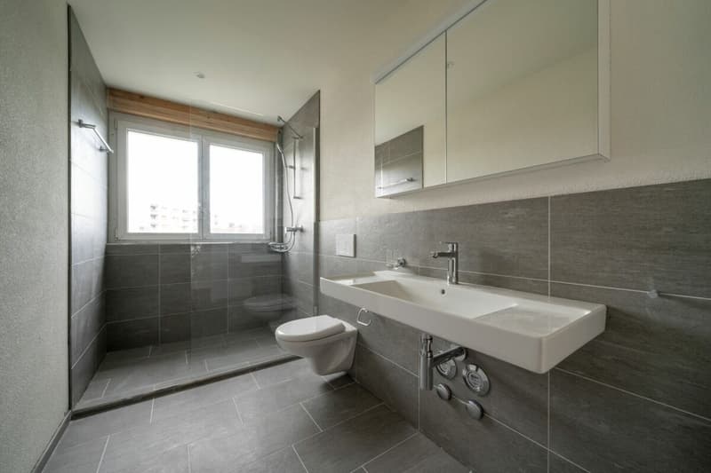 Exklusive 4.5-Zimmer-Attikawohnung mit ca. 163 m² Sonnenterrasse - Erstbezug im Neubau (13)