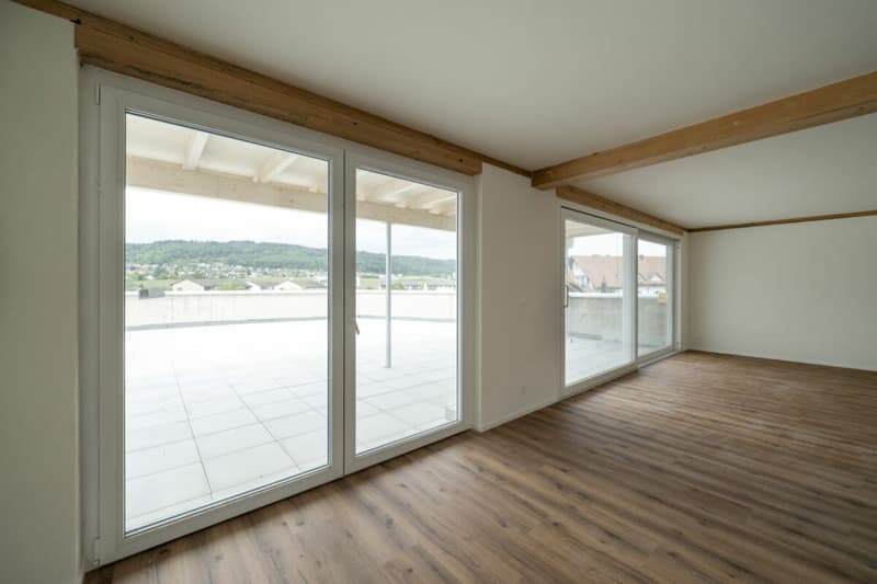 Exklusive 4.5-Zimmer-Attikawohnung mit ca. 163 m² Sonnenterrasse - Erstbezug im Neubau (5)