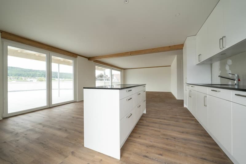 Exklusive 4.5-Zimmer-Attikawohnung mit ca. 163 m² Sonnenterrasse - Erstbezug im Neubau (7)