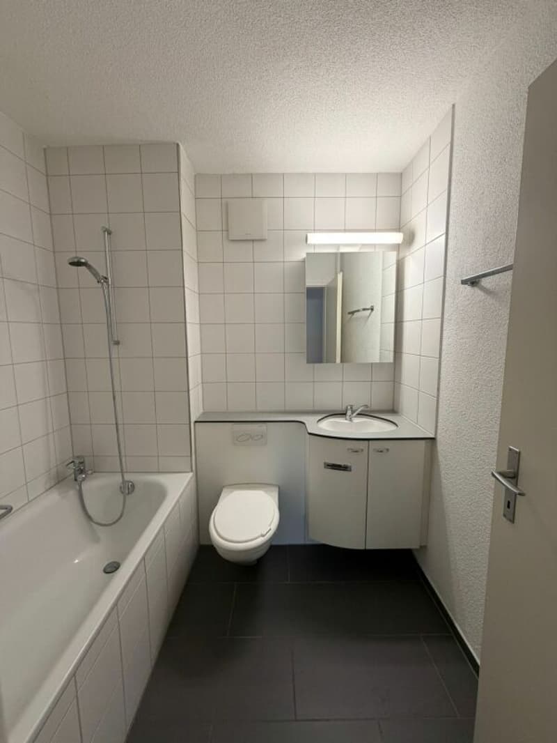 Gepflegte 2.5 ZWG, jetzt zu vermieten! (9)
