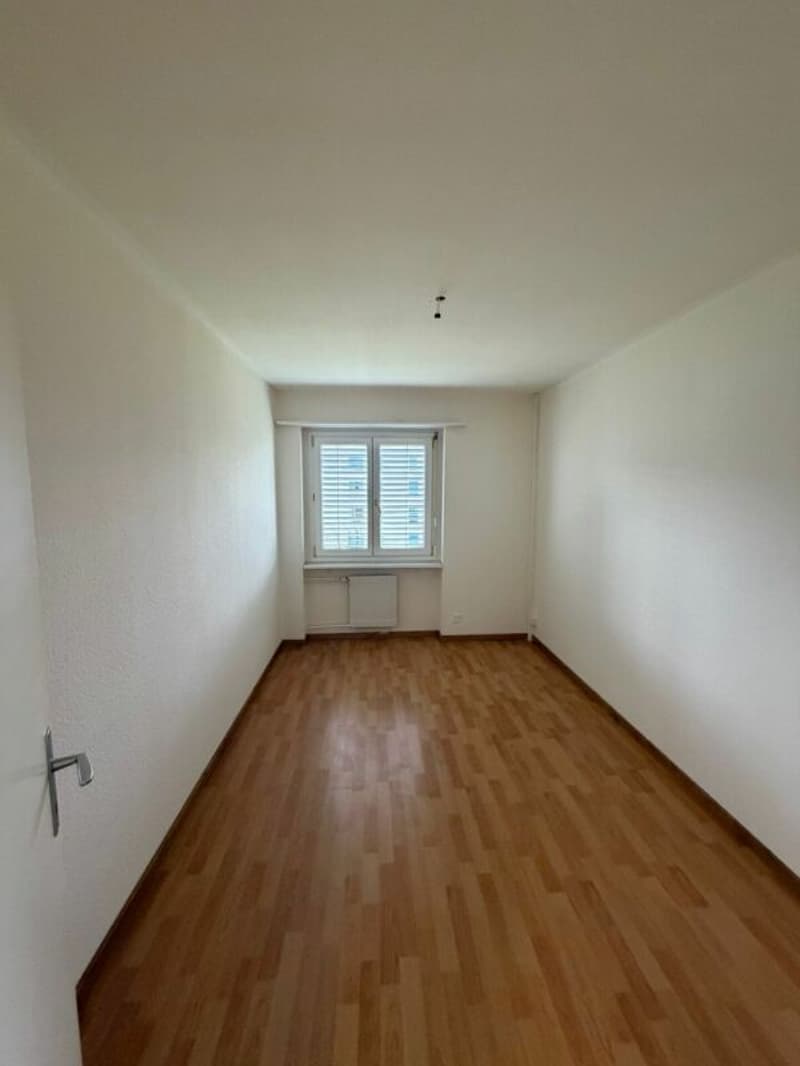 Gepflegte 2.5 ZWG, jetzt zu vermieten! (8)