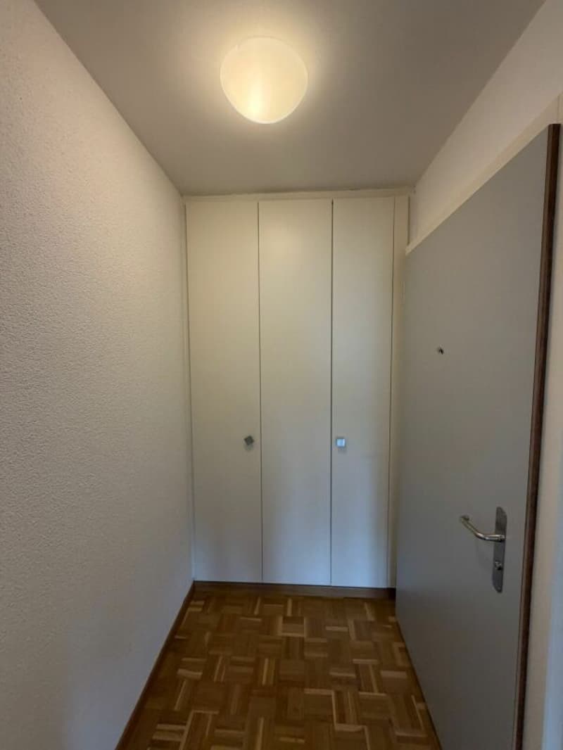 Gepflegte 2.5 ZWG, jetzt zu vermieten! (6)
