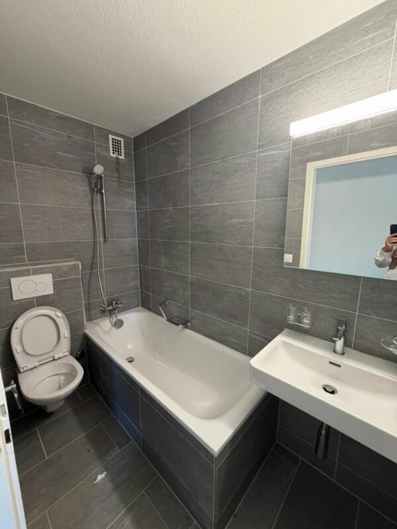 schöne 2.5 Zimmerwohnung per sofort verfügbar (2)