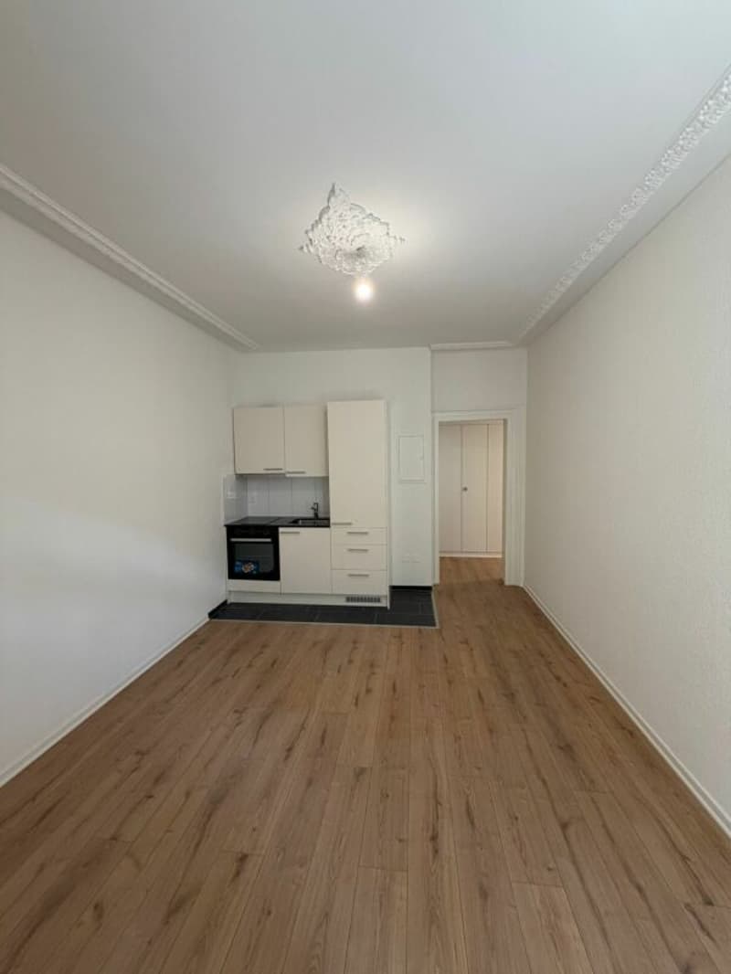 Erstbezug -  charmante frisch sanierte 2.5 Zimmer-Wohnung jetzt zu vermieten! (3)