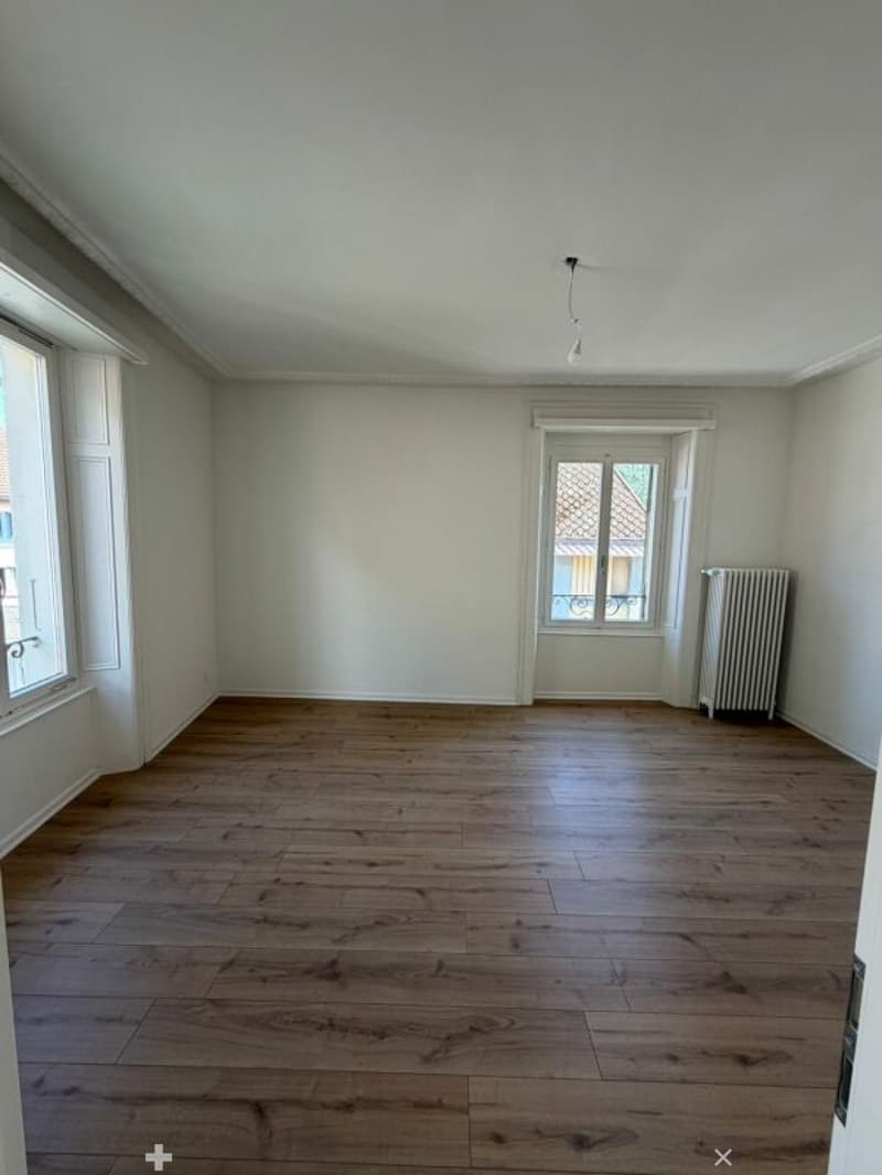 Erstbezug -  frisch sanierte 5.5 Zimmer-Wohnung mit Balkon jetzt zu vermieten! (5)