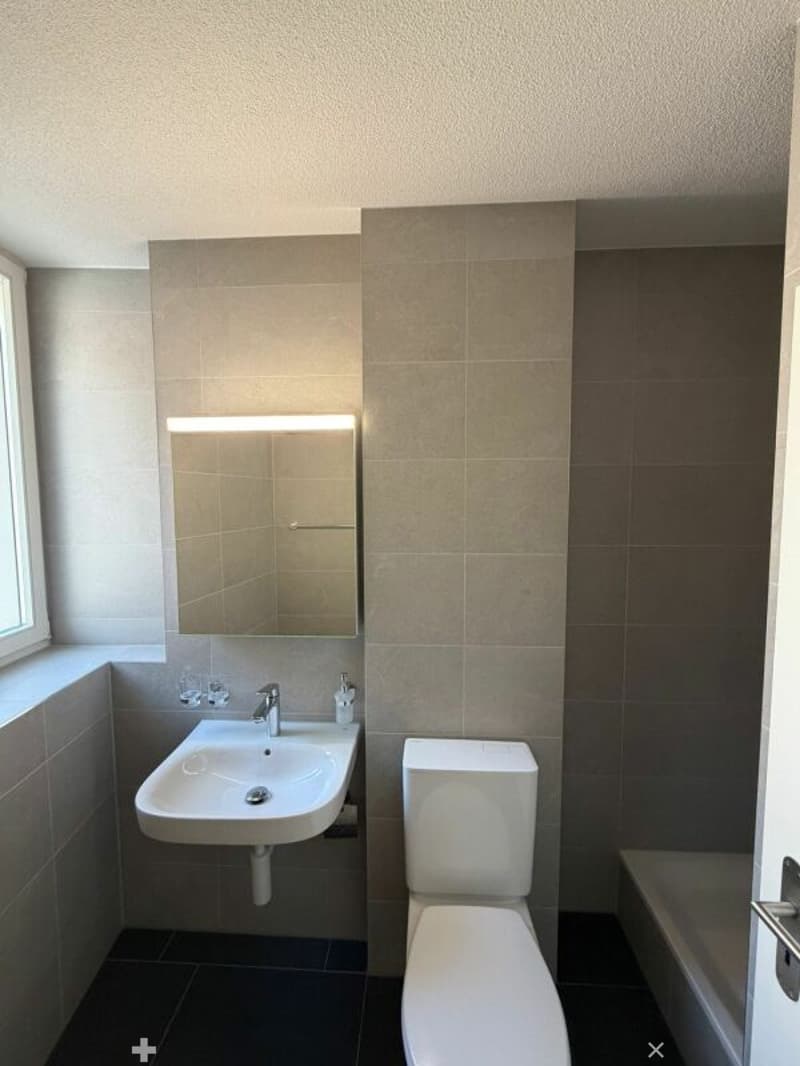 Erstbezug -  frisch sanierte 1.5 Zimmer-Wohnung jetzt zu vermieten! (5)
