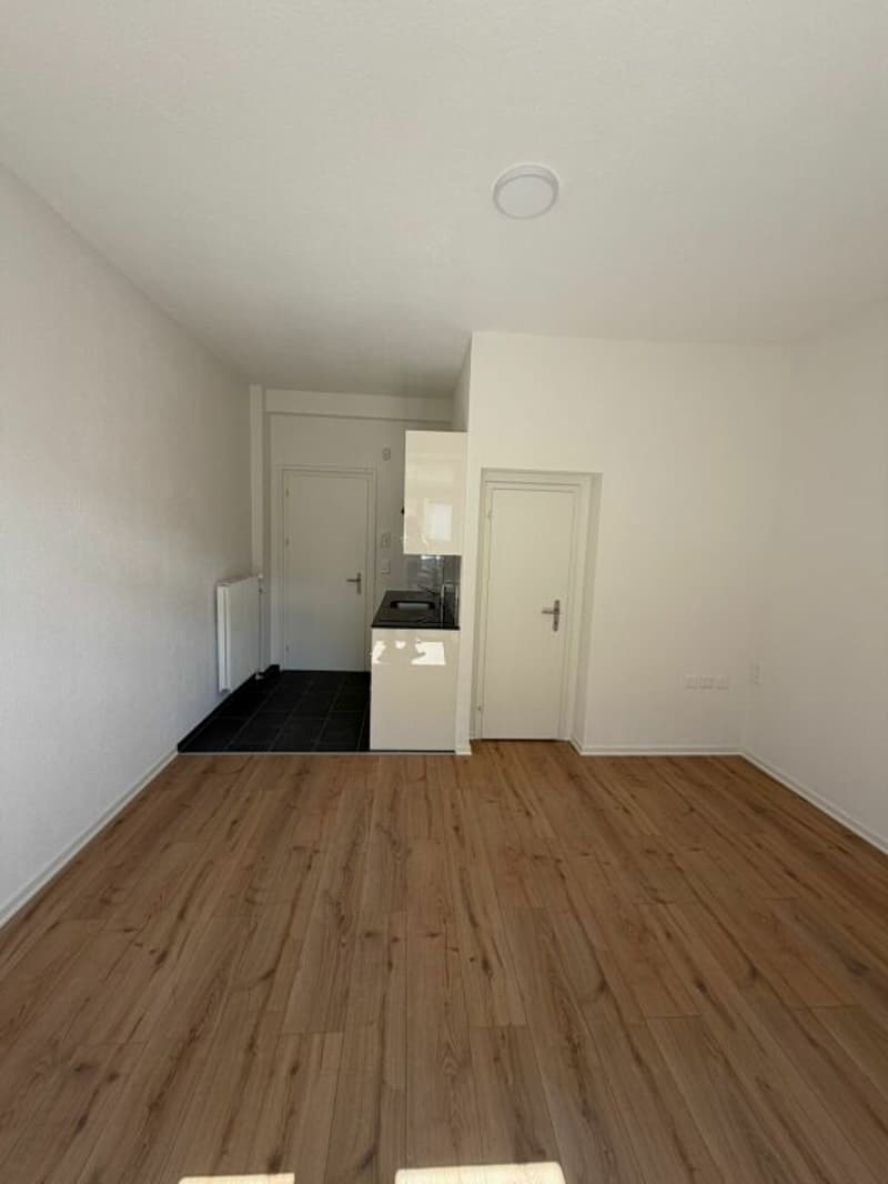 Erstbezug - frisch sanierte 1 Zimmer-Wohnung jetzt zu vermieten! (3)