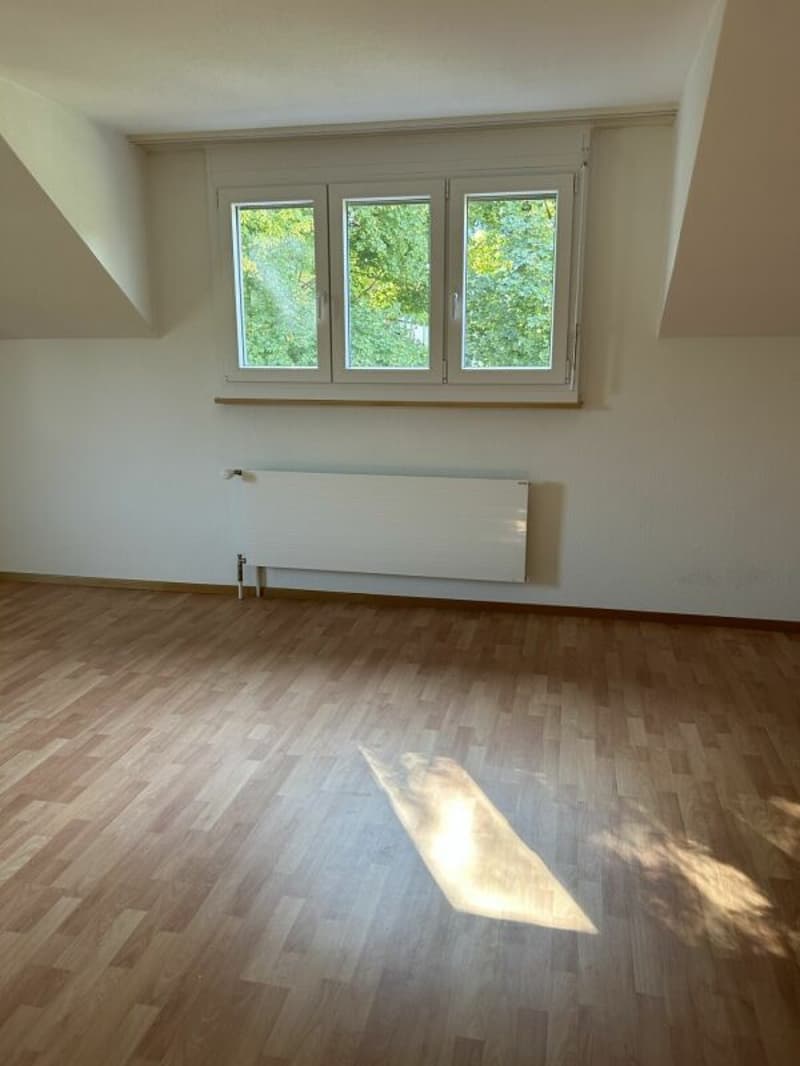 2.5 Zimmerwohnung mit Blick in die Sterne (8)