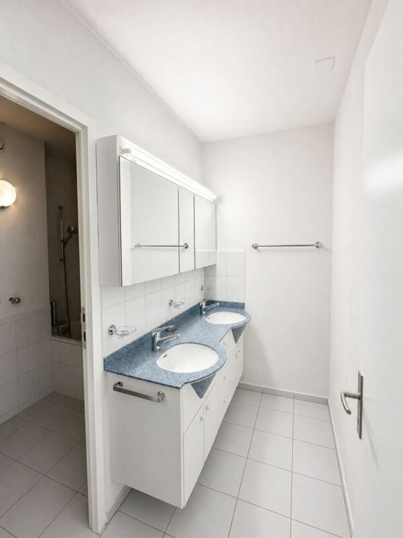 Wunderschöne 4,5-Zimmer-Wohnung ab sofort zu vermieten! (10)