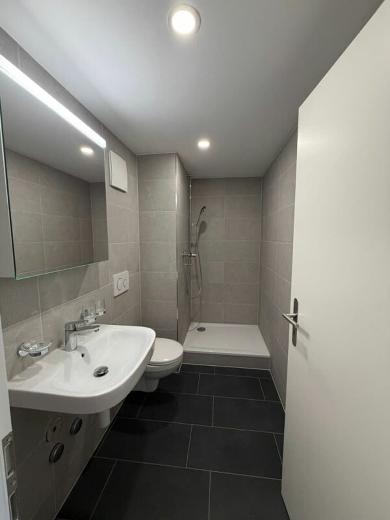 Erstbezug - charmante frisch sanierte 2 Zimmer-Wohnung jetzt zu vermieten! (5)
