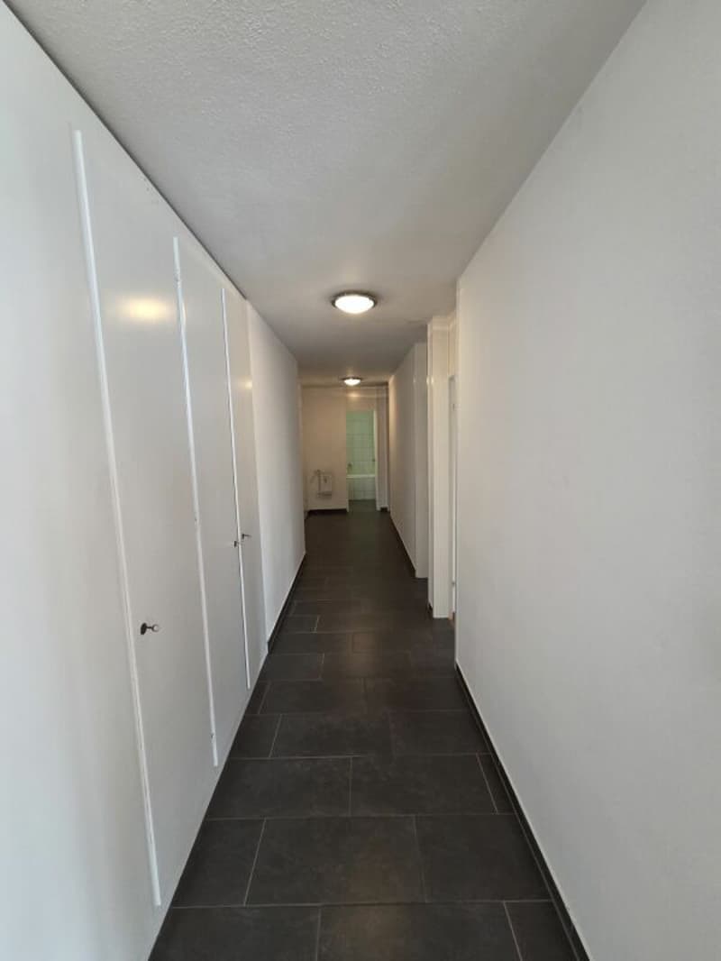4.5 Zimmerwohnung per sofort frei (6)