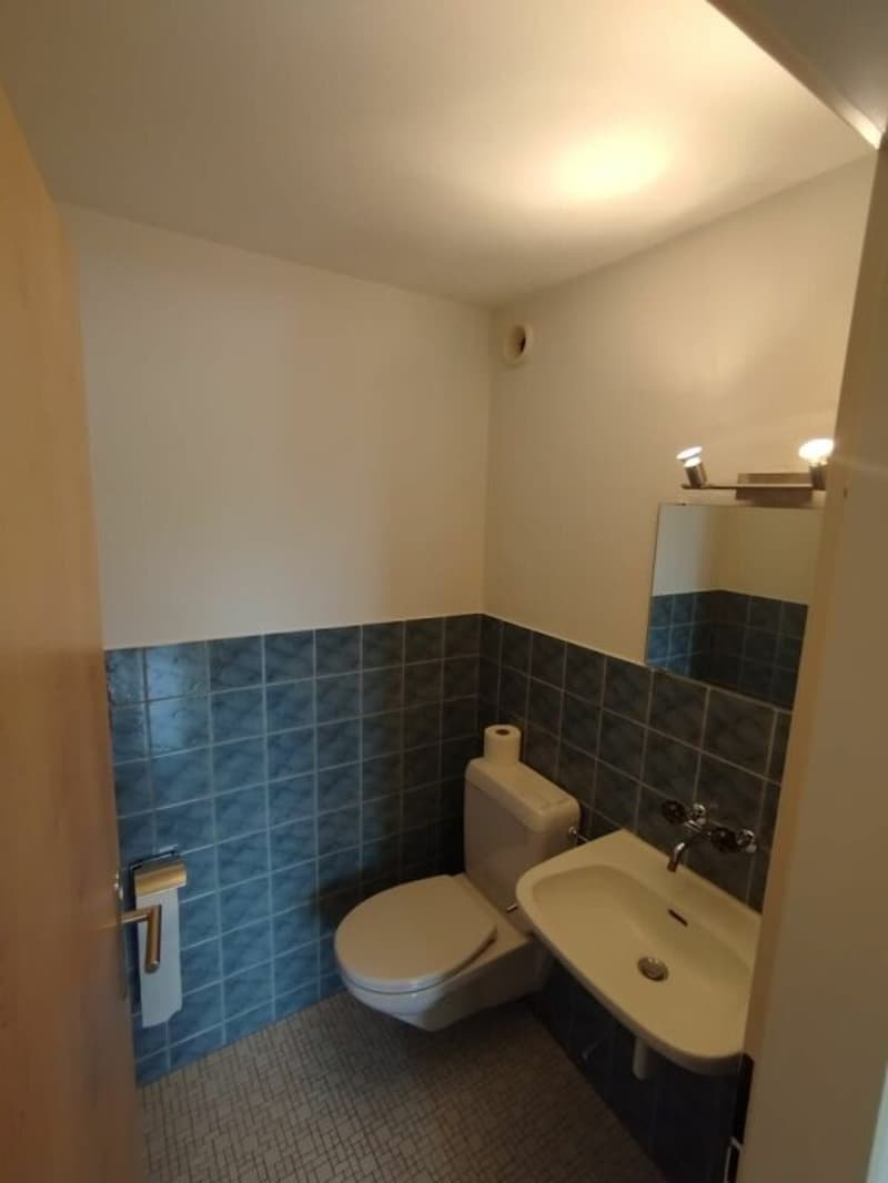 Schöne helle Wohnung (3)