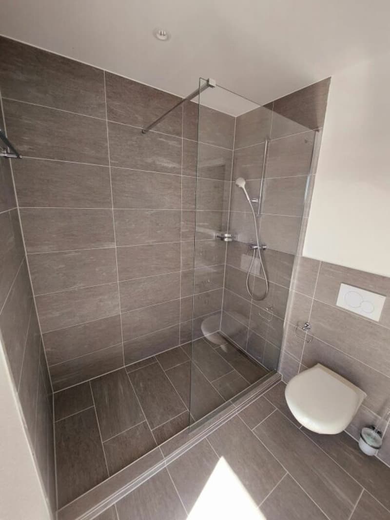 Exklusive 2.5-Zimmer-Attikawohnung mit ca. 74 m² Sonnenterrasse - Erstbezug im Neubau (8)