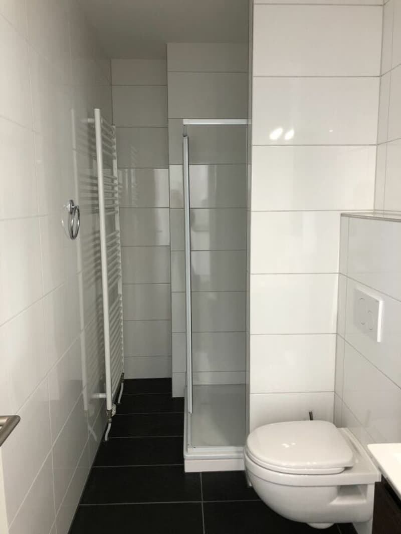 Modernes Büro- oder Ladenlokal im Erdgeschoss mit grossen Schaufenstern! (8)