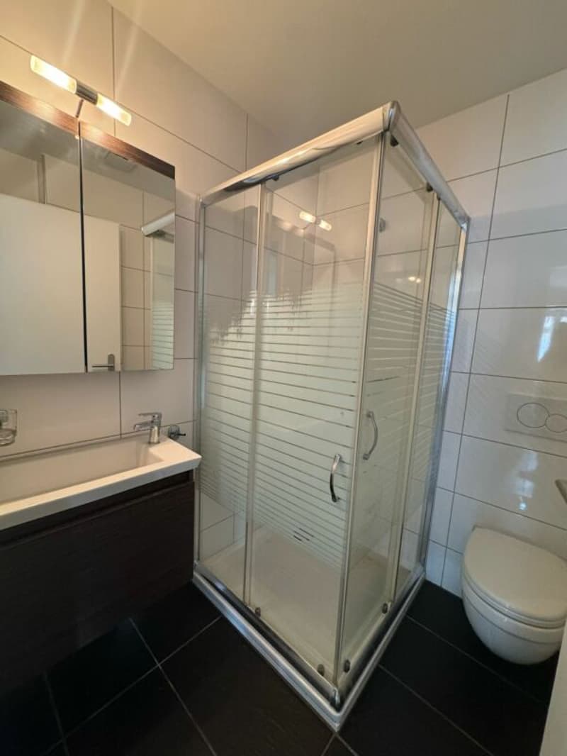 Wunderschöne, gepflegte 3.5 Zi-Wohnung jetzt frei! (7)