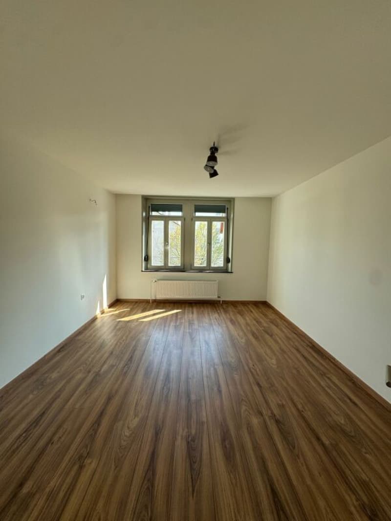 Wunderschöne, gepflegte 3.5 Zi-Wohnung jetzt frei! (2)