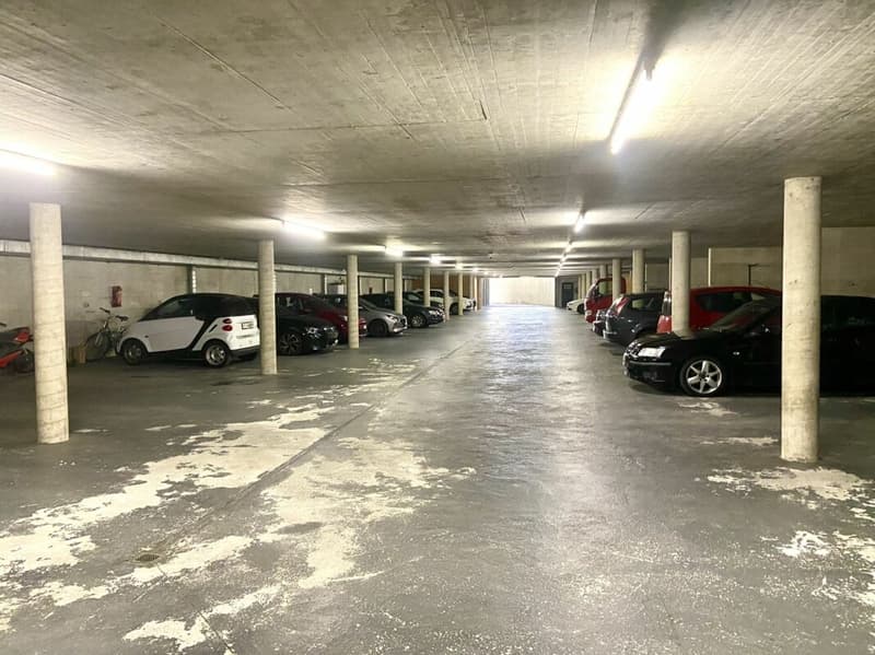 Quartiere Moneral App. 701 - 2,5 locali moderno (17)