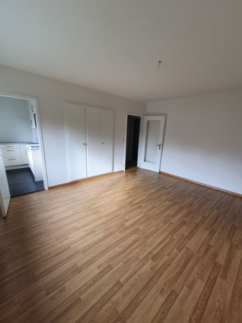 schöne 1.-Zimmer Wohnung in Olten (3)