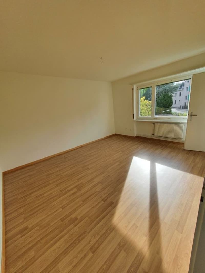 schöne 1.-Zimmer Wohnung in Olten (2)