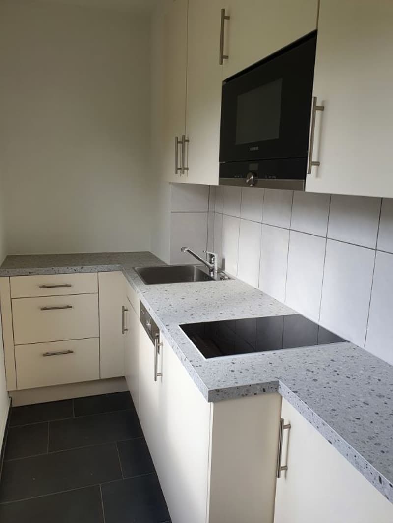 schöne 1.-Zimmer Wohnung in Olten (5)