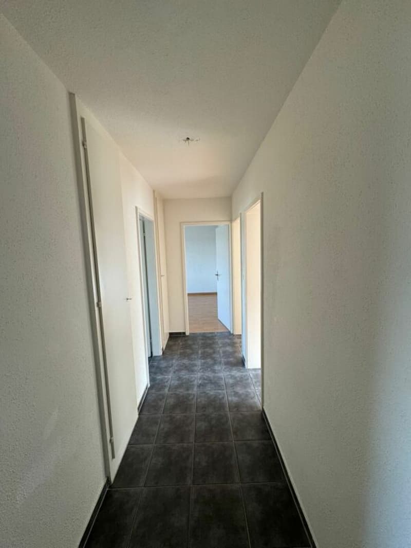 Grosse & günstige 3 ZWG SOFORT verfügbar! (9)