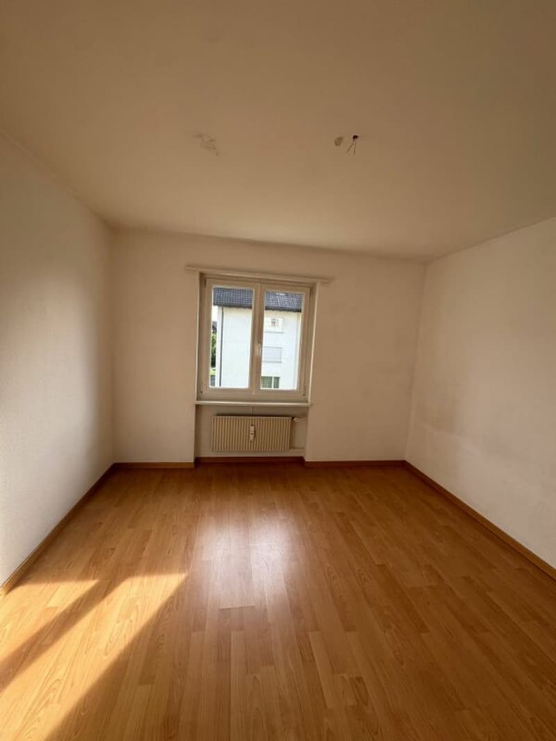 Grosse & günstige 3 ZWG SOFORT verfügbar! (6)