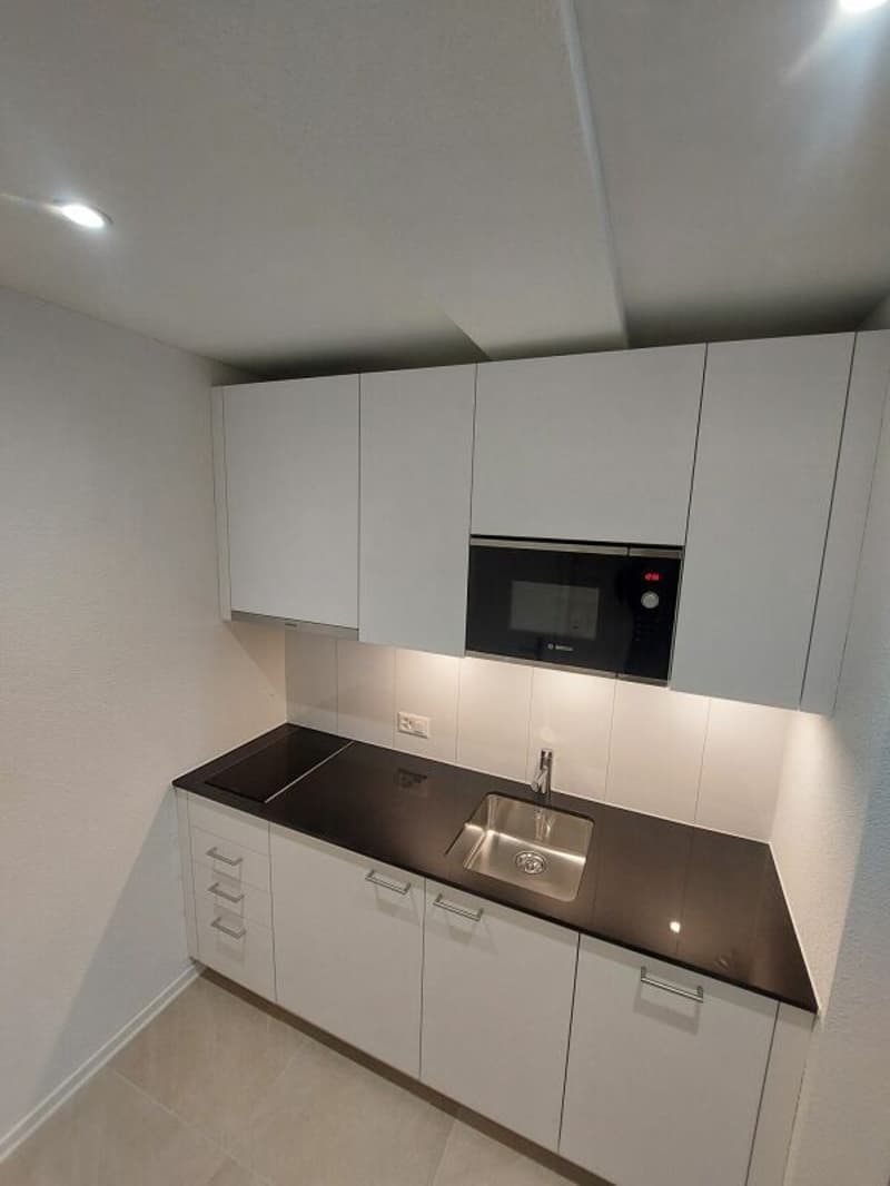 Helle 1.5-Zimmer-Neubauwohnung beim Escher Wyss Platz - Erstvermietung (5)