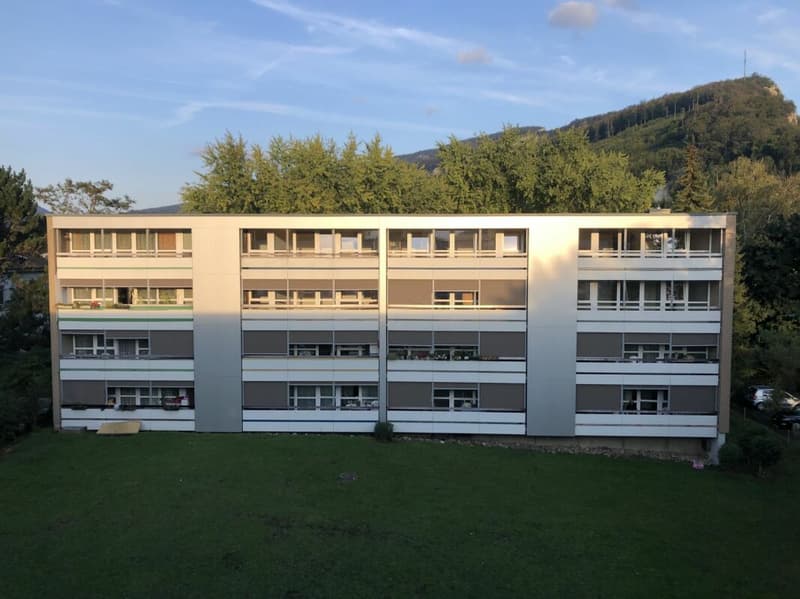 4.5 ZWG neuwertig, Abendsonne (1)