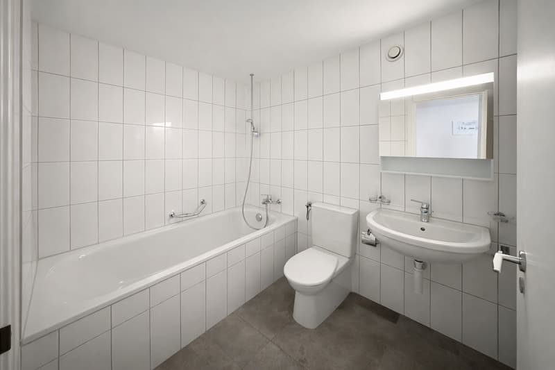 Splendide appartement – à vous bientôt !  PREMIER MOIS GRATUIT ! (3)