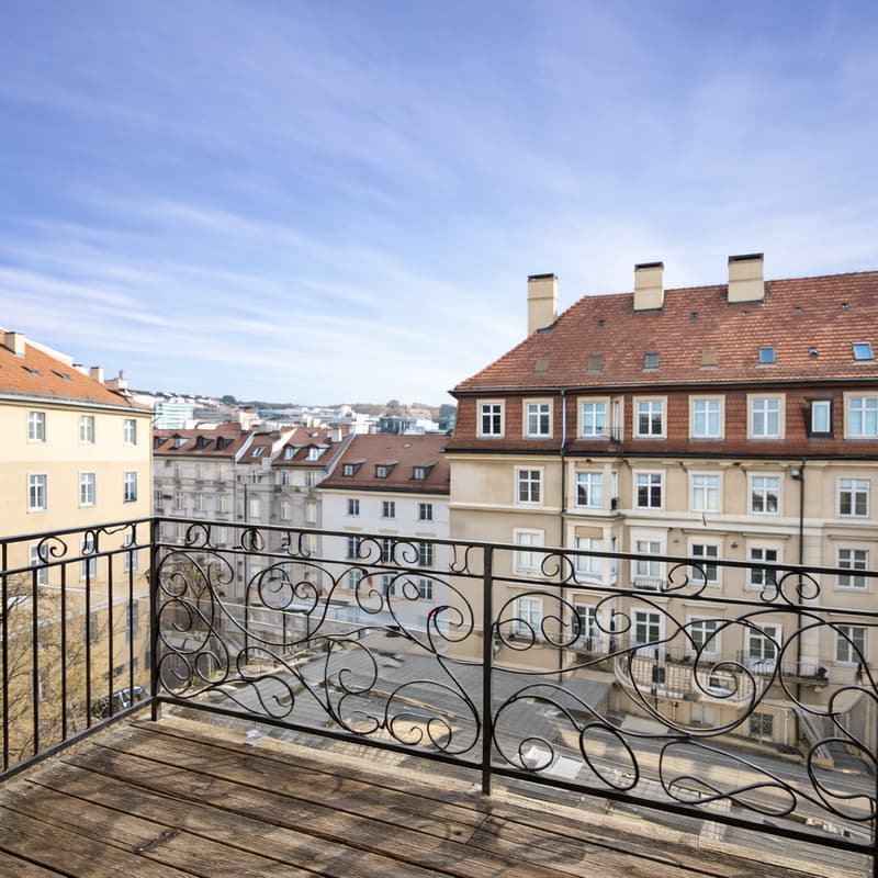 Spacieux et Charmant Appartement avec  Balcon ! 1er mois de loyer offert ! (4)