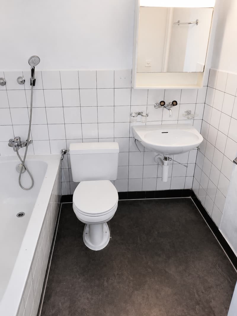 Spacieux appartement de 5 pièces avec balcon et belle vue à Fribourg (3)