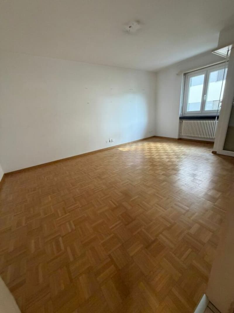 Moderno 2,5 locali a Massagno - moderne 2,5 Zimmerwohnung in Massagno (5)