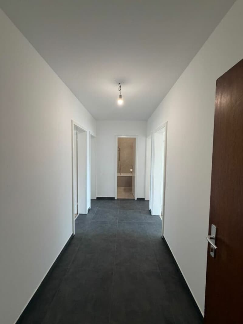 Appartamento di 3,5 locali (App. 1033/12) Balerna (2)