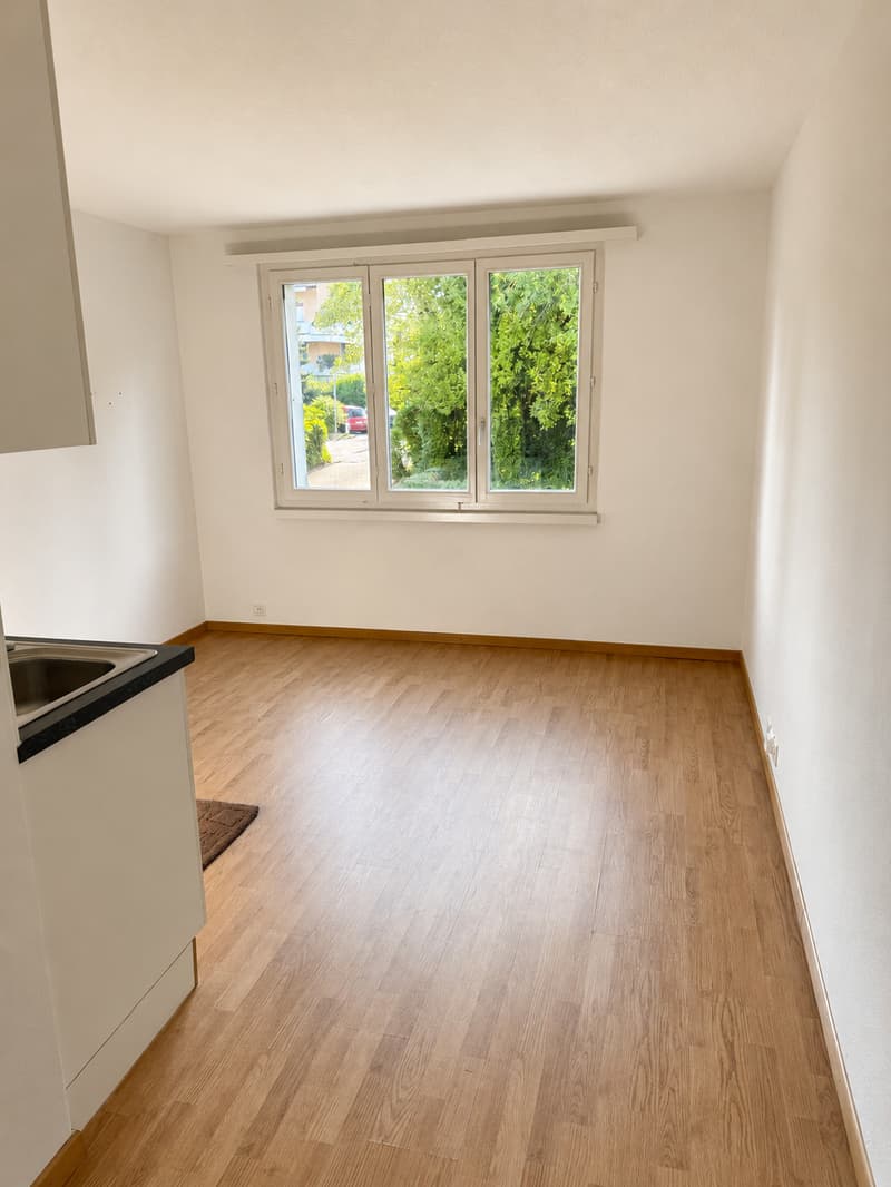Gemütliches Studio oder Home-Office/Archiv (1)