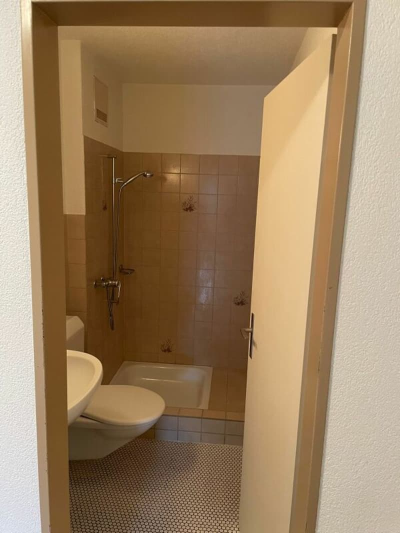 Diese 3-Zimmer-Wohnung lässt keine Wünsche frei! (13)