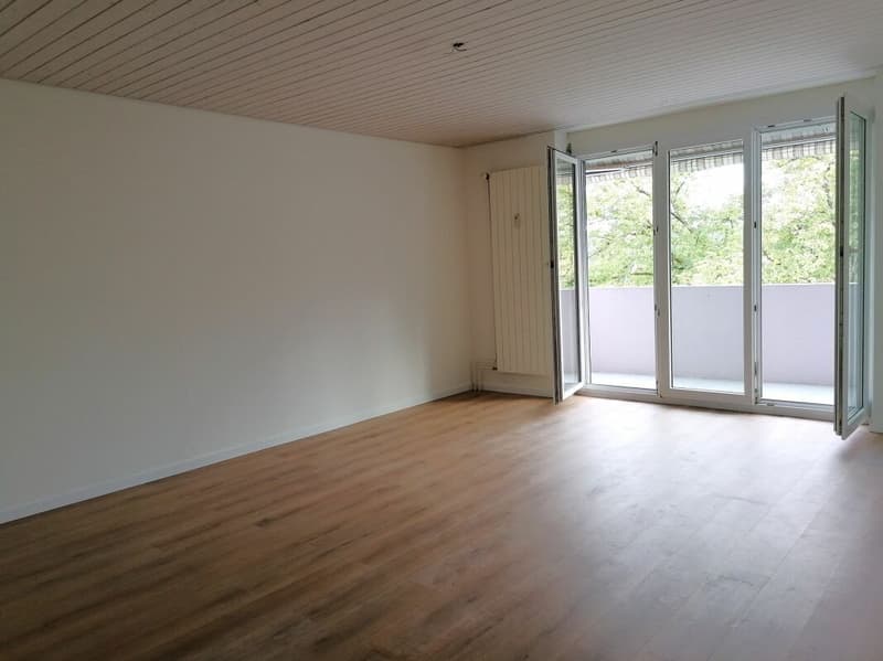 Wohnung im schönen "Breite-Quartier" (4)