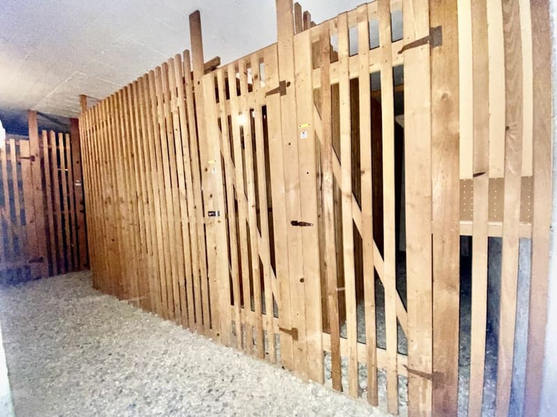Appartamento di 3,5 locali (App. 1033/12) Balerna (13)