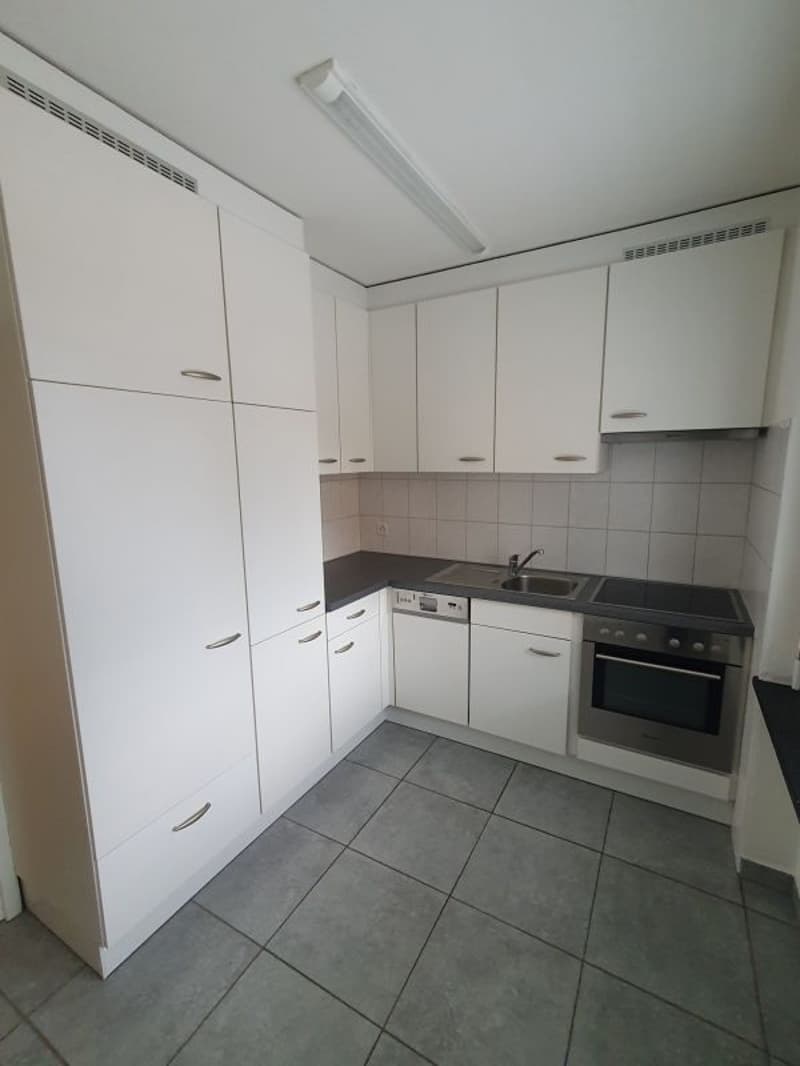 2.5-Zimmer Wohnung mit Terrasse (3)
